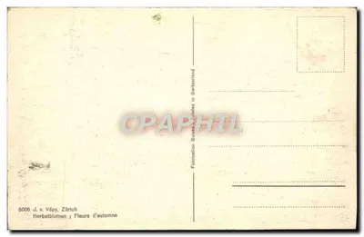 Bukiet jesieni — Kwiaty jesieni — J. v. Vépy, Zurych — Rewers