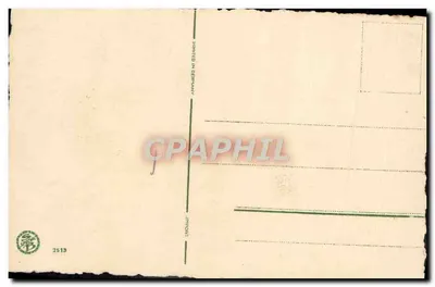 Panséias violetas — ilustração botânica — J. P. S. & C. (n° 2513) — Verso