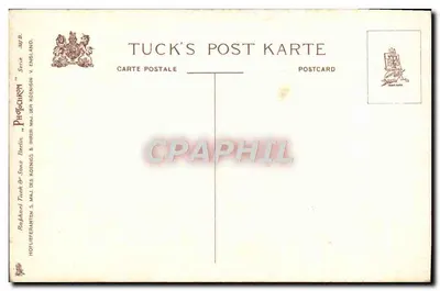 Dois filhotes e um gatinho — CHUMS — editor Tuck & Sons, série 287 B — Verso