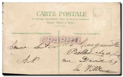 Bukiet chryzantem — wydawca nieznany — datowany około 1908 — Rewers