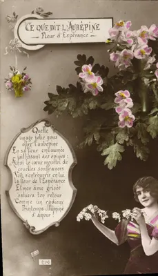 Fleur d'Espérance — Poème sur l'aubépine — Wydawca nieznany, N°143