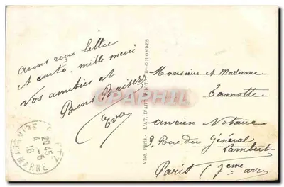 Flores — Clavelines estriadas — Furia 471 — Reverso