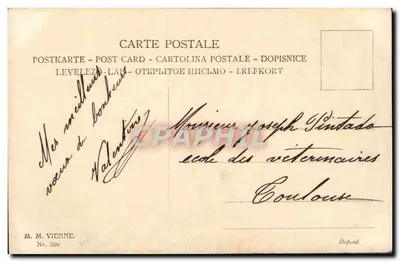 Młoda kobieta z kapeluszem z piórami — M. M. Vienne, nr 330 — Rewers