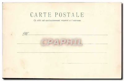 Violets — Frohe Geburtstagskarte — Postkarte — Rückseite