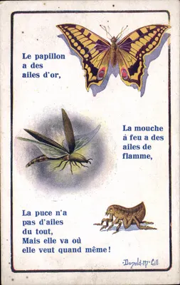 Borboleta, mosca e pulga — poema ilustrado — Série 'Comique' n°1537