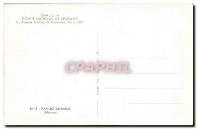 Papilio Antheus — Afryka — Wydane przez Komitet Krajowy Dla Dzieci — Rewers