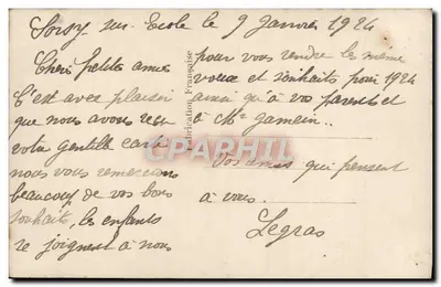 Róża z dwukolorowymi kwiatami — REX 1902 — Rewers