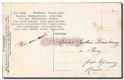 Giovane donna con fiori — Cartolina colorata — Granoptype A.G. Steglitz, Berlin — Verso