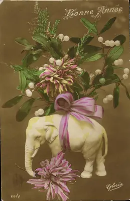 Elefante decorado — buquê floral com laço — editor Gloria, n° 251/1