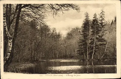 TENCE (Hte-Loire) — O Lago de Joux — Édit. P. Bertheuss, Tence, n° 327