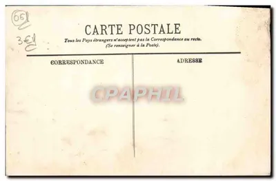 Beaulieu — Widok przez oliwki — LL — Rewers