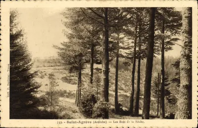 Saint-Agrève (Ardèche) — Les Bois de la Rèche — Ed. P. Bertheas - Tence
