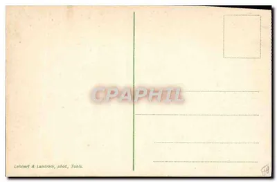 Rabbino — Tunisi — Lehnhert & Landrock — Verso