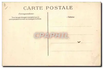 Gato felino — Sabedoria e mentira — E.D. n°2 — Verso