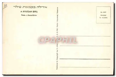 Un pastor alimentando vacas — Hador Haacarmel, Palestina — Foto J. Benor-Kalter, n° 817 — Reverso