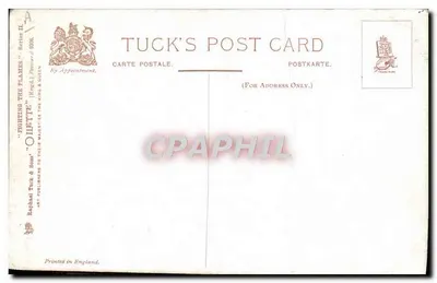 Sapeurs-pompiers — Équipe en char à cheval — Tuck's Post Card, Série II — Verso