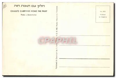 Chalutz carregando frutas — Palestina — Foto J. Banor-Kahler, n° 820 — Verso