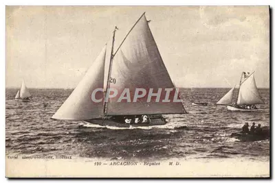 Arcachon — Regatas — Marcel Elhoy, fototipo, Bordeaux, n°120