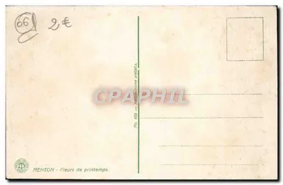 Menton - Kwiaty wiosenne — reprodukcja victata — wydawca Menton, nr 455 — Rewers