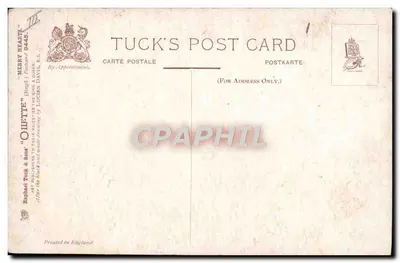 Ijsfeest — Gelukkig Nieuwjaar — Tuck's Post Card n° 8445 — Achterkant