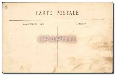 Pacillac — Regaty — BR 3538 — Rewers