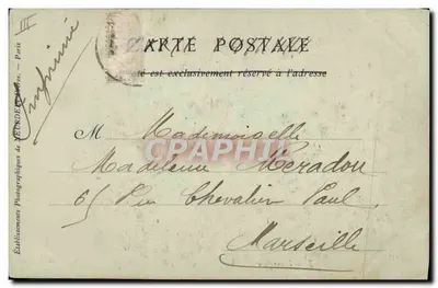 Młoda Maureska — kolekcje ND Phot — Rewers