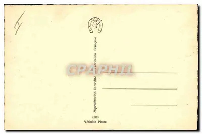Wzgórze nad morzem — widok z jachtu — Véritable Photo, n°4203 — Rewers
