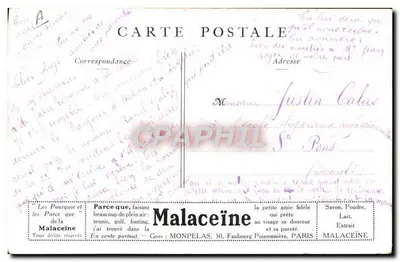 Proposta de Pesagem — Por que você a ama? — Malaceïne — Verso