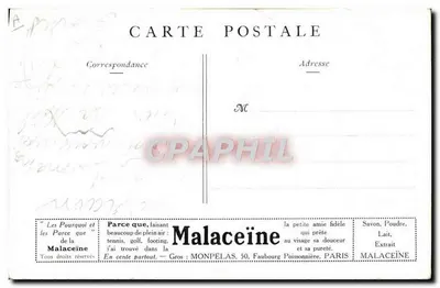 Propos de Pesagem — Por que você a ama? — Malaceïne — Verso
