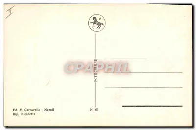 Nápoles - (Pozzuoli) - A Solfatara — Editor V. Carcavallo, N° 65 — Verso