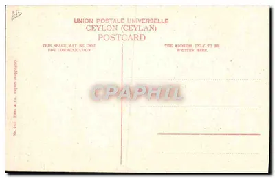 Tamil Barbier, ao trabalho — raspagem de cabeça — editor Print & Co., Ceylan, n° 242 — Verso