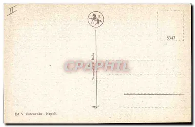 O Vesúvio — Erupção — Ed. V. Carcavallo - Napoli — Verso