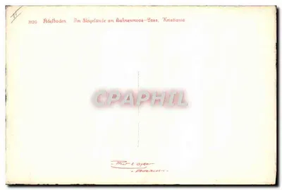 Esquiador na montanha — Adelboden, no Skigelände am Bahnenmoos-Pass — editor Adelboden, n° 3120 — Verso