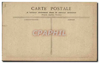 Crisantemo — Serie de 3 — Editor no visible — Reverso