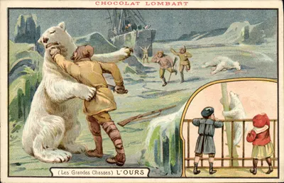 O Urso — (As Grandes Caçadas) — Chocolat Lombart