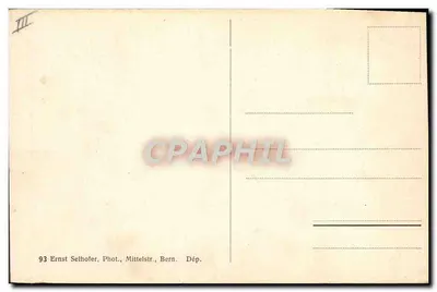 Bern — Der Bärengraben — Młode niedźwiedzie — Ernst Selhofer — Rewers