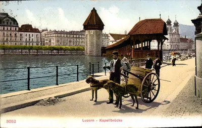 Luzern - Kapellbrücke — Kapellbrücke'nin kapalı köprüsünün görünümü, iki köpek tarafından çekilen bir araba ile — Éditeur inconnu, n° 3052