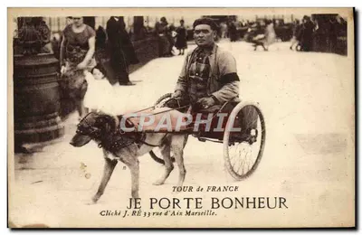 Dog pulling a carriage — Tour de France — Photo by J. RÉ 33 rue d'Aix Marseille