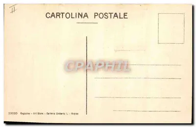 NAPOLI - Cratère do Vesúvio — vista do cratère do Vesúvio com visitantes — editor Ragozino, n° 23030 — Verso