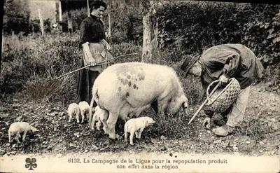 Campagne de la Ligue pour la repopulation — effet dans la région — S.E. n° 6132