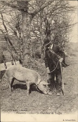 Moustiers — Un Chercheur de Truffes — A. Achard Edit.