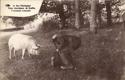 Deux chercheurs de truffes — Périgord — éditeur non identifié, n° de série 2