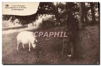 Deux Chasseurs de Truffes — La Récompense — En Périgord