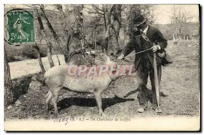 Villegly (B.-A.) — Un Chercheur de truffes — P. KHAT, EDIT., MARSEILLE