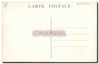 Establecimiento avícola Sainte-Catherine — Chanteclair (Rhône) — Reverso