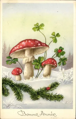 Champignons vermelhos nevados — Boa Ano — editor não visível