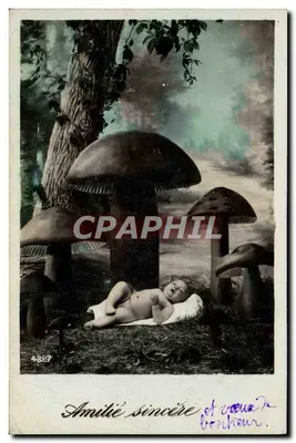 Bebê dormindo entre cogumelos — editor anônimo, n° 4327