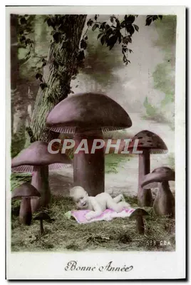 Bebê em uma floresta de cogumelos — Boas Festas — CBA n°523
