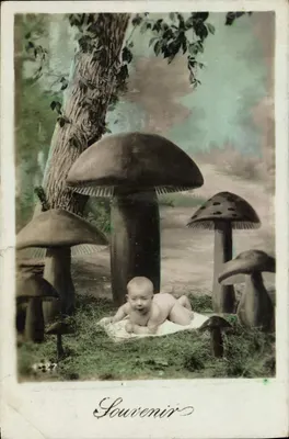 Bebê entre cogumelos — Lembrete — n° 427