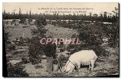 La Récolte de la Truffe dans les Causses du Quercy — Groupe Sympathique — n°49